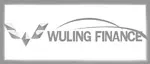wuling-finance